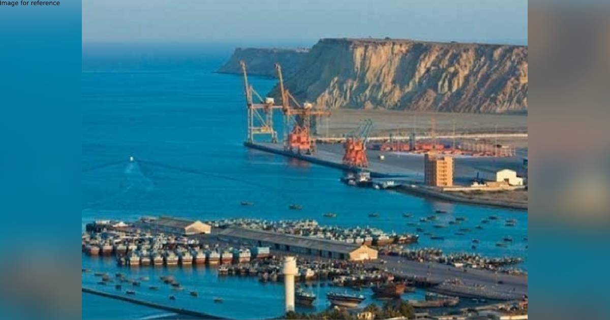 Djibouti struggles to repay Chinese loan, suspends debt repayments