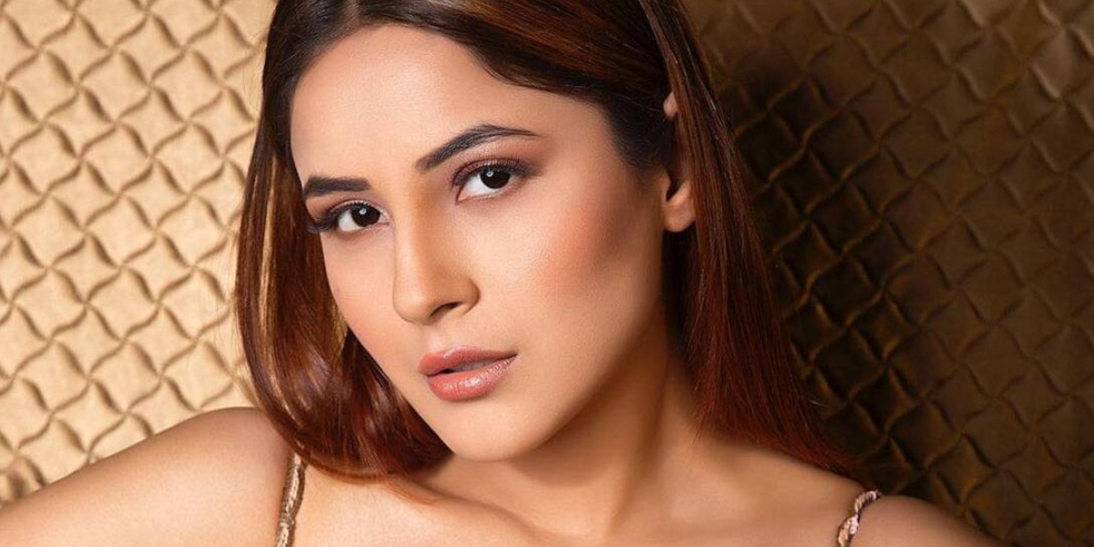 Shehnaz Gill Opens Up On Her Upcoming Song!