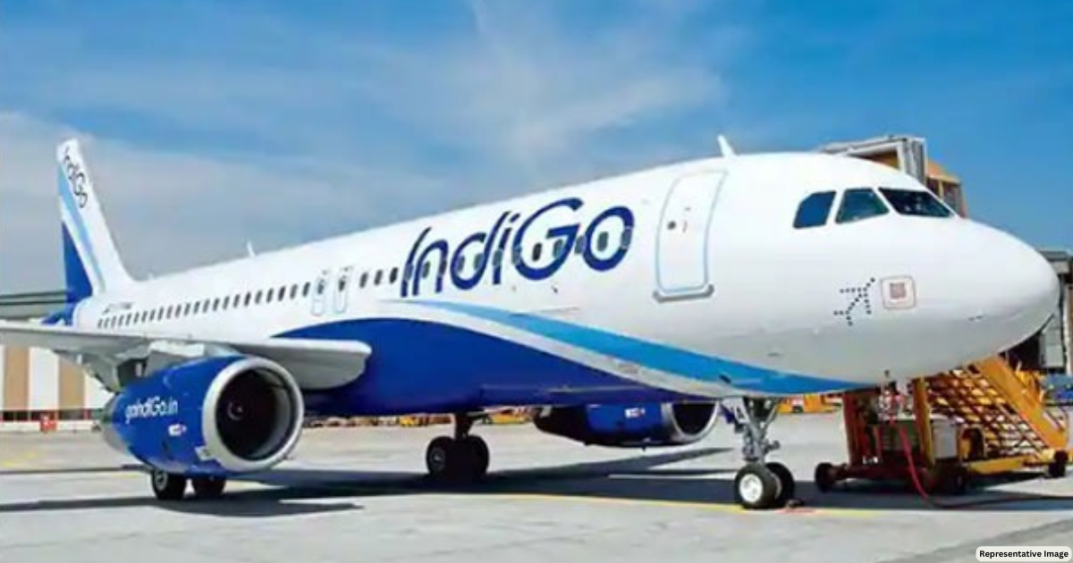 Singapore-bound IndiGo plane diverted to Indonesia after crew reports rubber, fuel smell mid-air