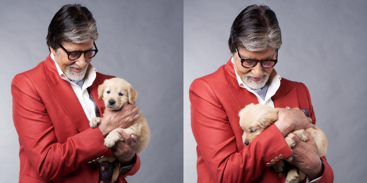 Amitabh Bachchan shares the news of his pet dog's death; pens an emotional note