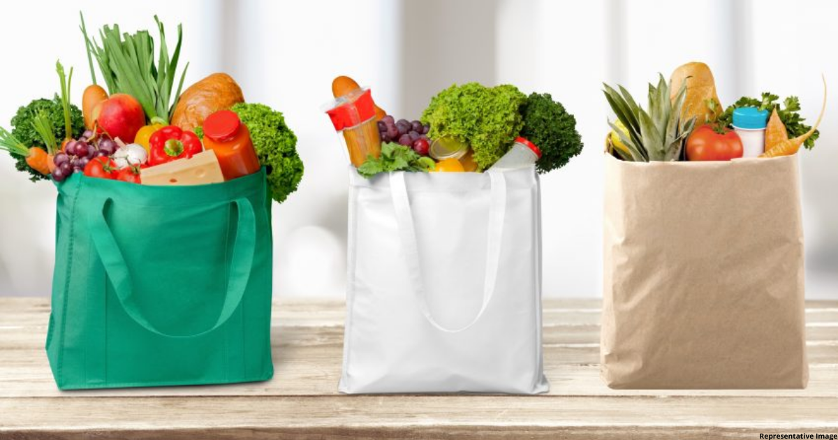 26600 Plastic Shopping Bags Stock Photos Pictures  RoyaltyFree Images   iStock  Holding plastic shopping bags No plastic shopping bags
